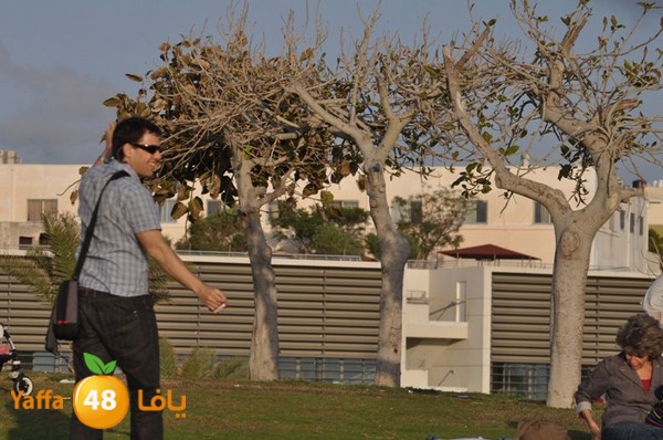 tayarat waraq (6).JPG